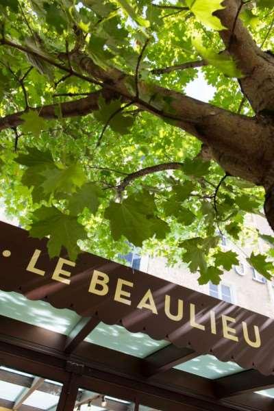 Hotel Beaulieu Lyon Charbonnieres Eksteriør billede